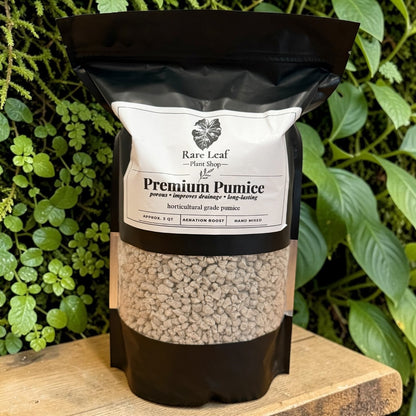Premium Pumice soil amendment for aeration, 3 quart bag