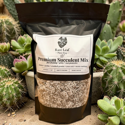 Premium Succulent Mix gritty fast-draining soil blend, 3 quart bag