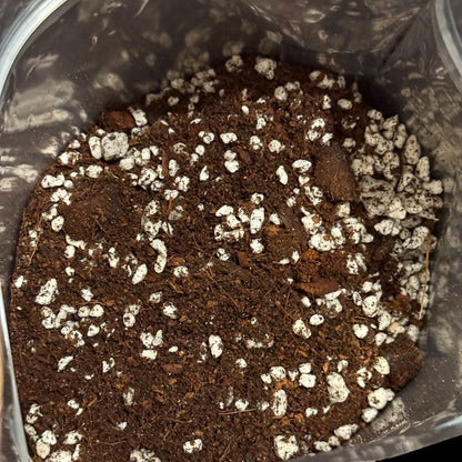 Premium Houseplant Mix lightweight well-draining soil blend, 3.5 quart bag