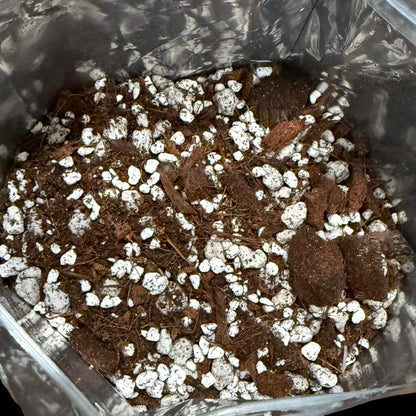 Premium Aroid Mix chunky well-draining soil blend, 3.5 quart bag