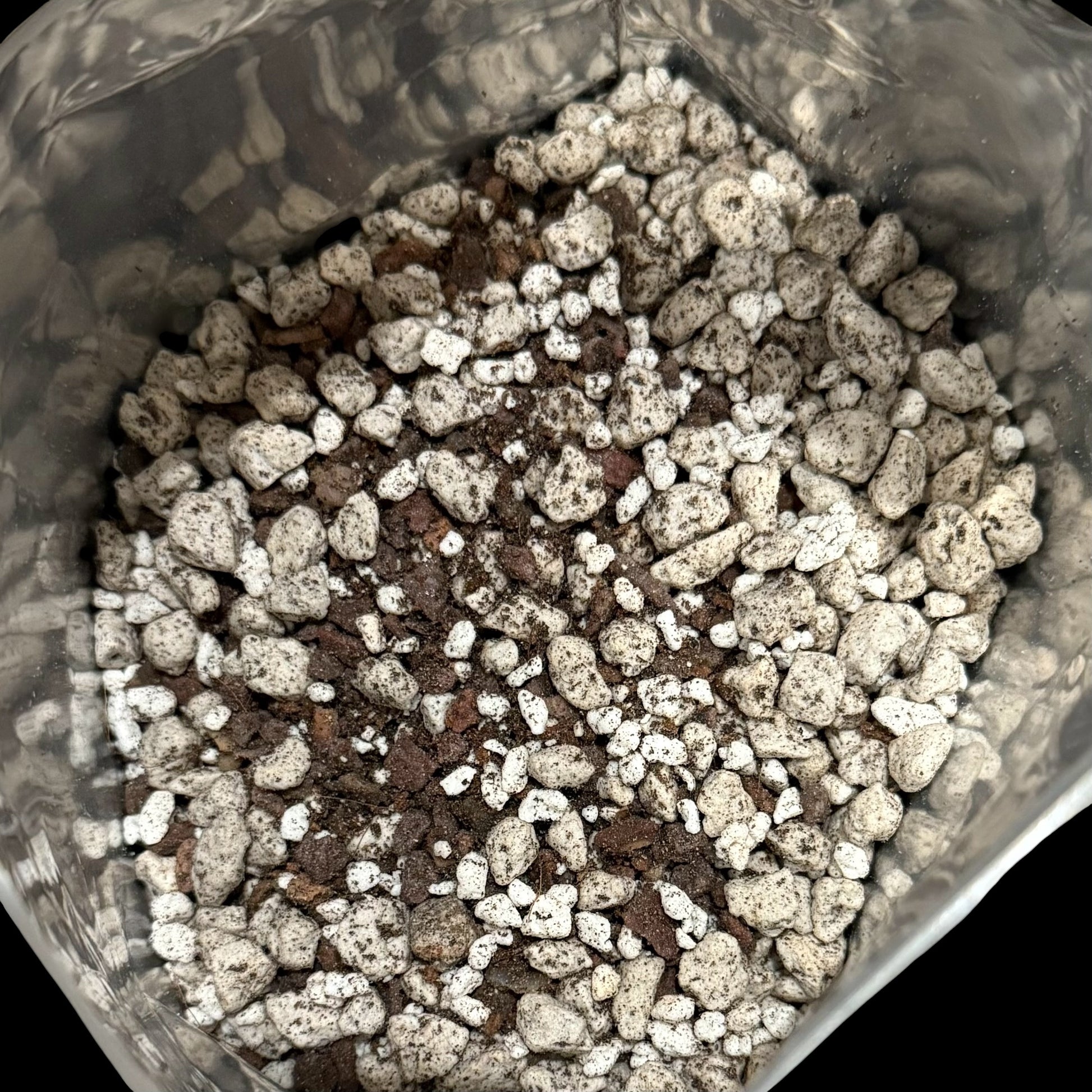 Premium Succulent Mix gritty fast-draining soil blend, 3 quart bag