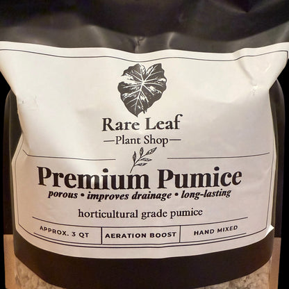 Premium Pumice soil amendment for aeration, 3 quart bag