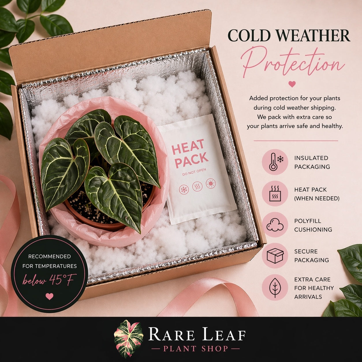 ❄️ Cold Weather Protection