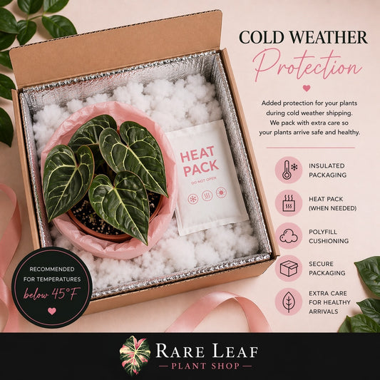 ❄️ Cold Weather Protection